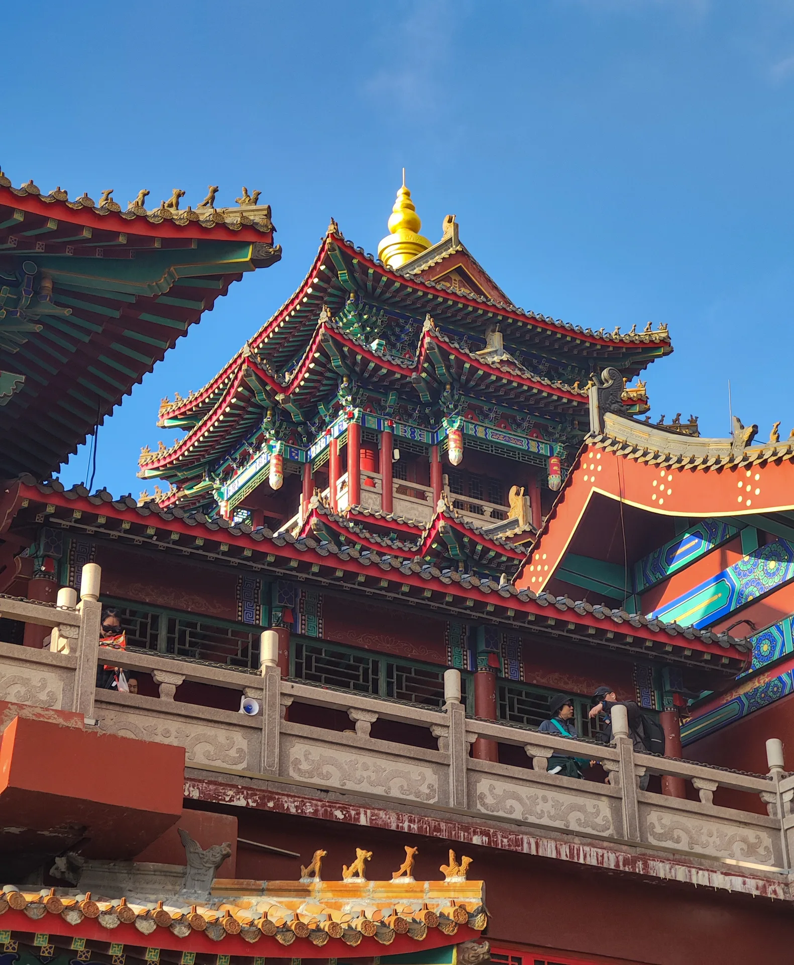 照片 10
